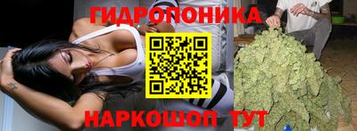 гашишное масло Новозыбков