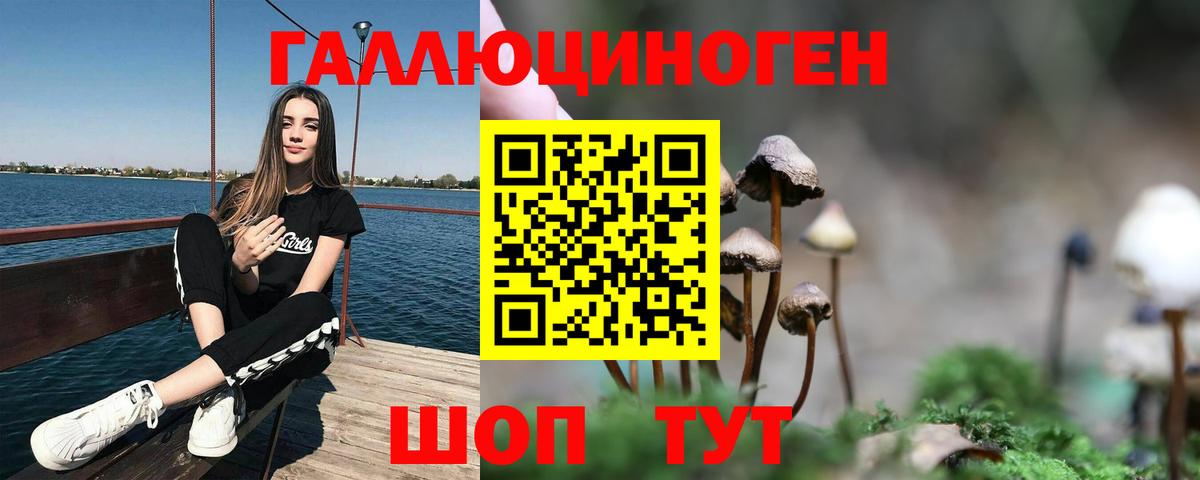 Псилоцибиновые грибы Psilocybe Урюпинск